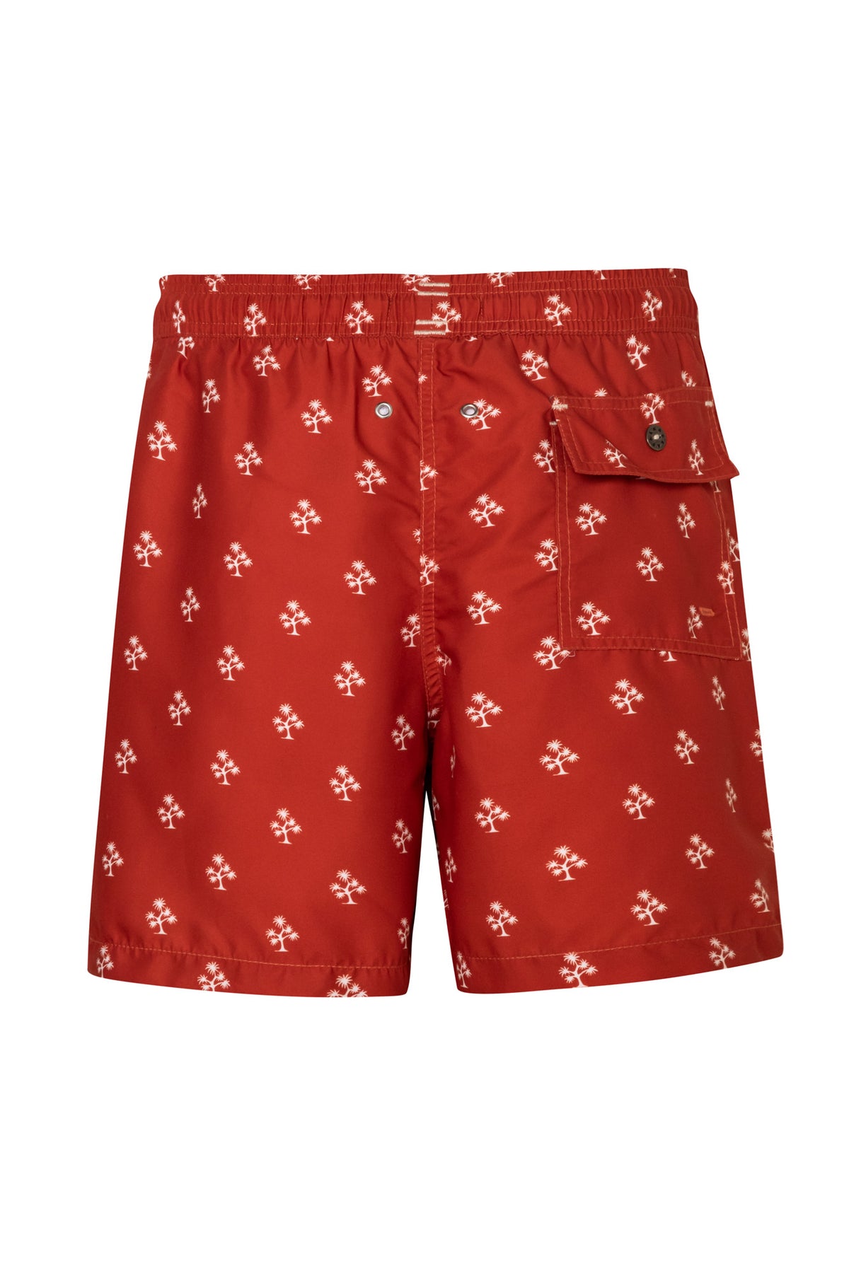 Pantaloneta de Baño Slim Palmara Terra