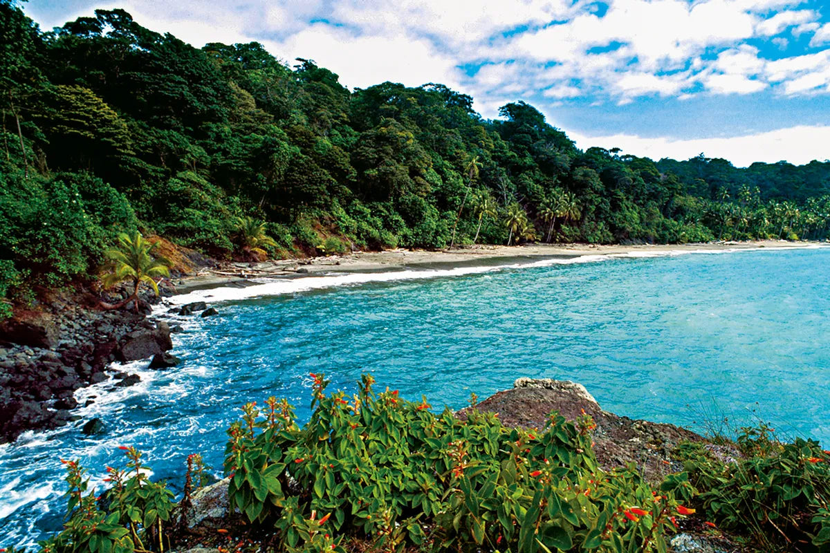 Islas colombianas donde puedes hacer ecoturismo