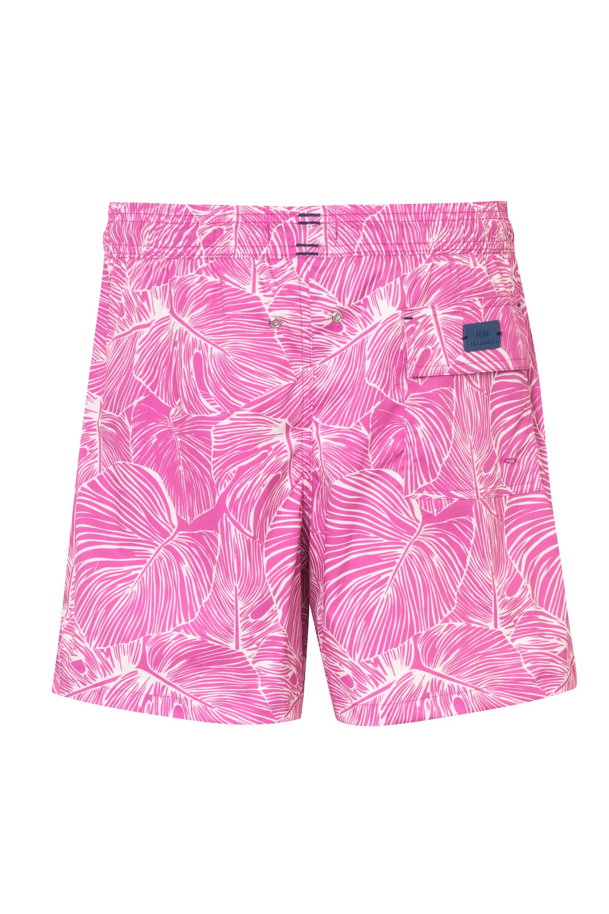 SWIM TRUNK IGUANA 5 PINK PRINTED