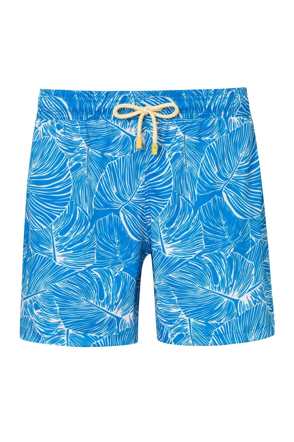 Pantaloneta de Baño Clásica Iguana6 Rey