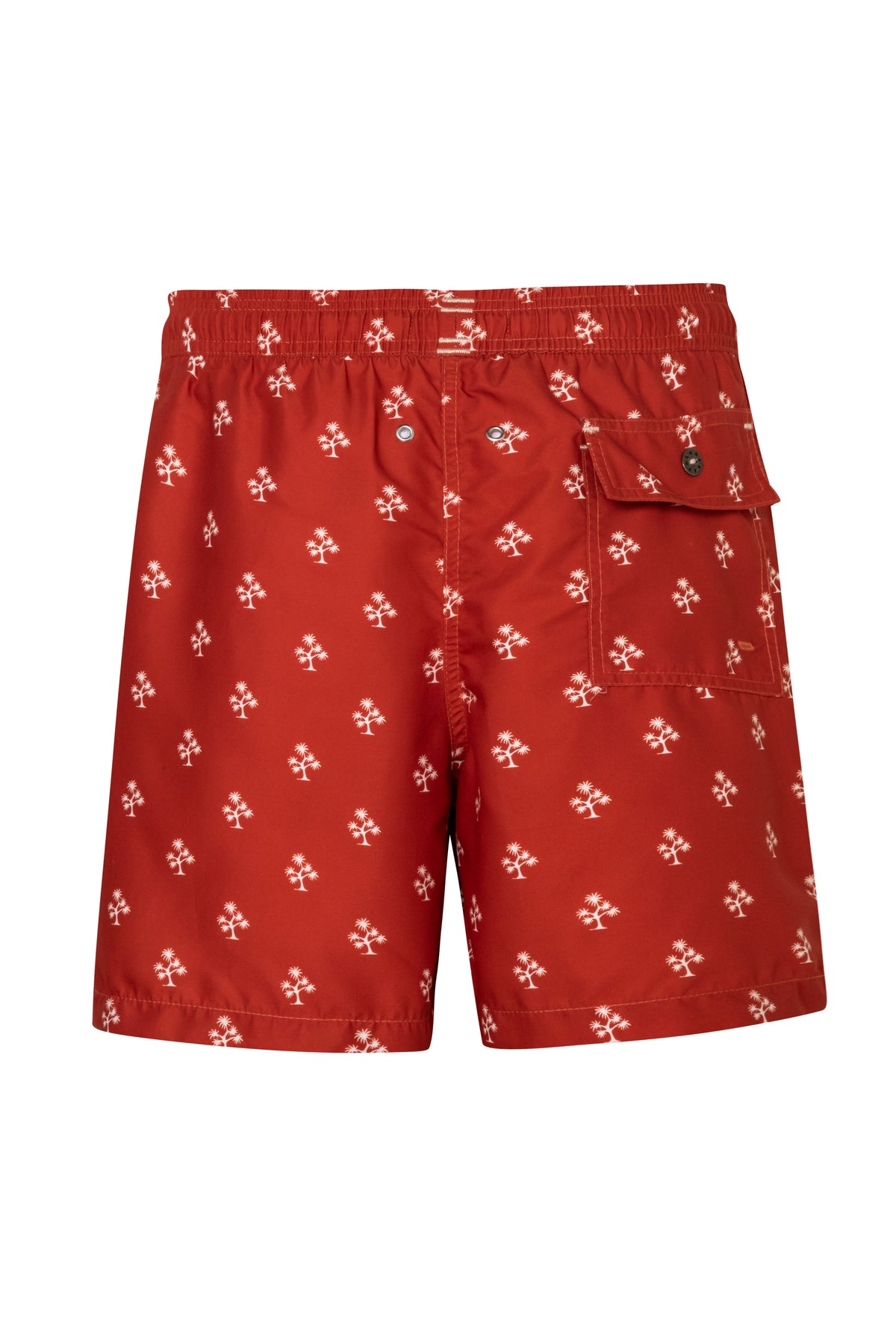 Pantaloneta de Baño Slim Palmara Terra