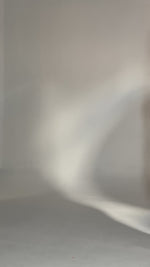 Panty de bikiniSua Shell