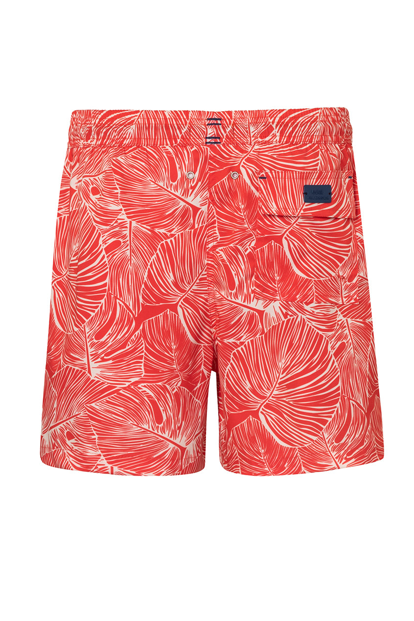 SWIM TRUNK IGUANA3 RED PRINTED