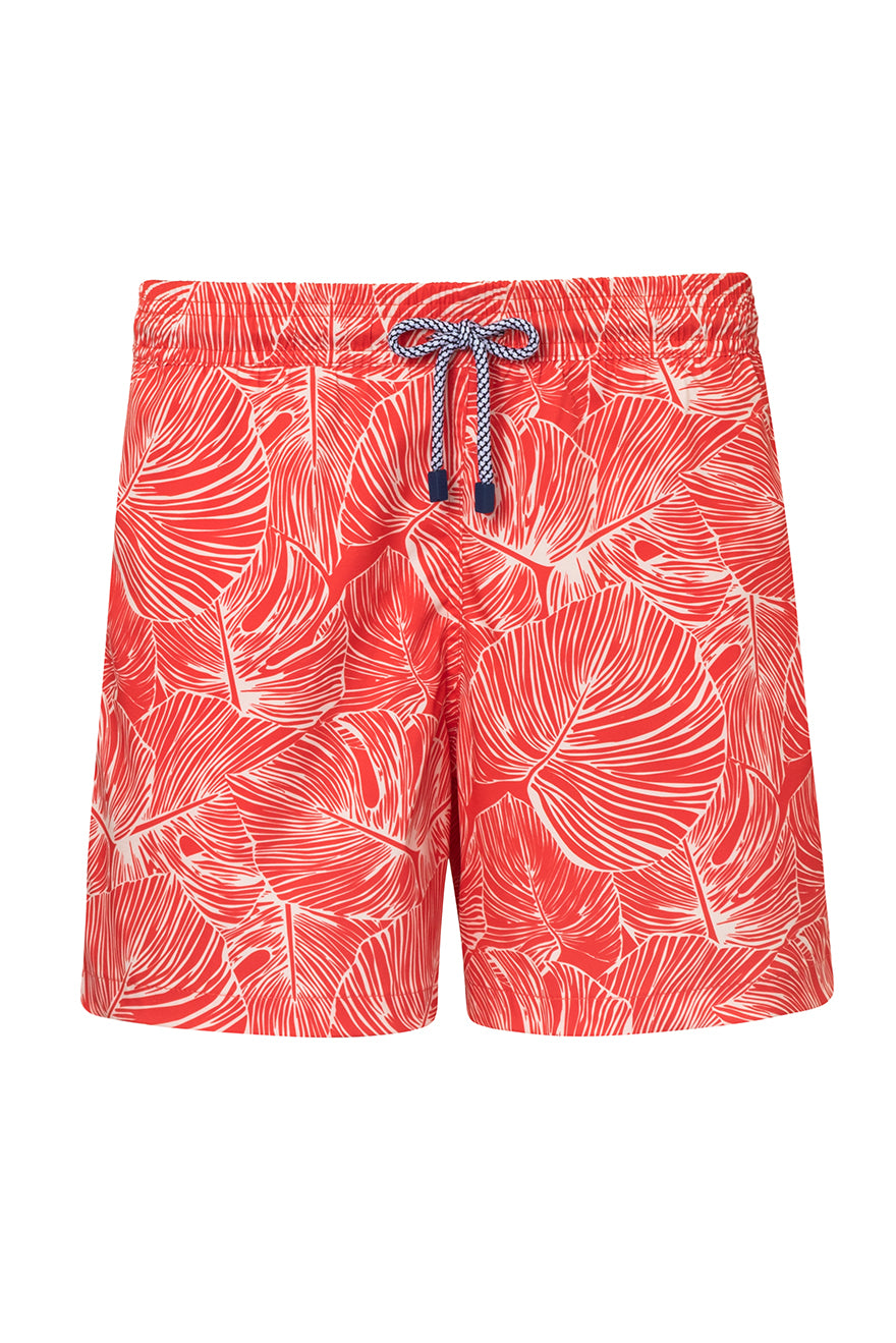 SWIM TRUNK IGUANA3 RED PRINTED